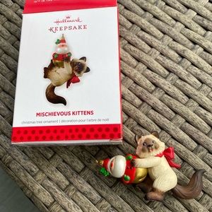 Mischievous Kittens’13Series